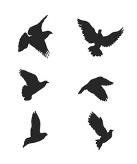 Collection of vector silhouettes of flying pigeons