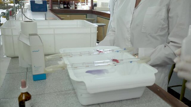 Cientificos viendo unas muestras. Laboratorio, Ciencia, Experimentos, Bioqu&iacute;mica, Qu&iacute;mica, Cient&iacute;ficos, Medicina. Footage de Ciencia. 