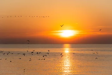 Fototapete sunset over the sea © Maanls