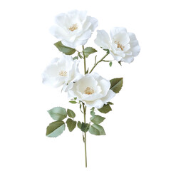 Obraz premium White Roses Abstract Floral Art Nature Beauty