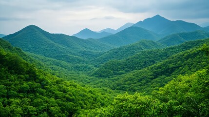Fototapeta premium Lush Green Mountains Landscape Photography - Nature Photography