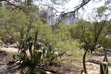 C&oacute;rdoba, Argentina