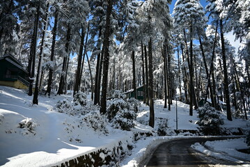 Kashmir Winter snowfall in Patnitop JKTDC cottages