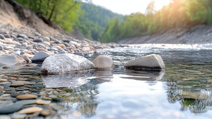 As the sun dips low, a freshwater river becomes a mirror, reflecting the golden hues of the sky The clarity of the water is striking, allowing the riverbed's stones to shimmer beneath Lush greenery