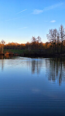 reflection of trees in water