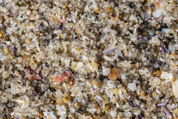 Detail of sand on the beach，La Jolla Tide Pools, San Diego, California

