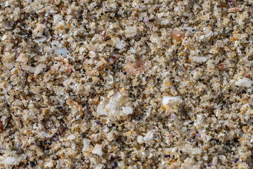 Detail of sand on the beach，La Jolla Tide Pools, San Diego, California

