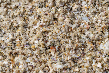 Detail of sand on the beach，La Jolla Tide Pools, San Diego, California

