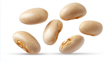 Obraz premium White Kidney Beans Isolated on White Background 