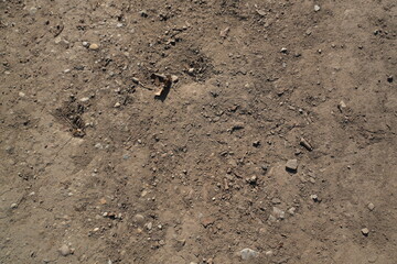 background with texture of earth, dirt, ground