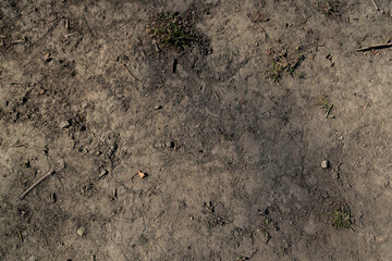 Background with earth, dirt and ground 