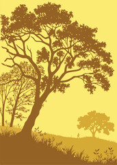 Obraz premium Silhouette of a tree in the meadow, vector illustration