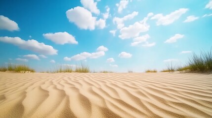 Fototapeta premium Sunny desert dunes, blue sky, grass. Travel brochure