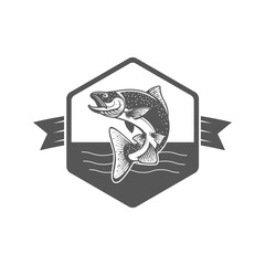 Camping logo, labels and badges. Travel emblems