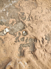 Eroded rock surface showing signs of weathering and decay ideal for background