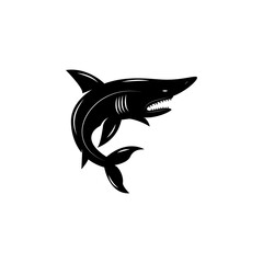 Vector nautical element. Rope swirls, logos and badges