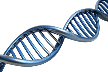 DNA helix on isolated background