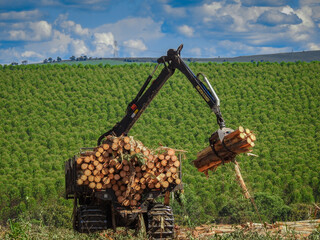 Forestry Machine Wood Harvesting logging