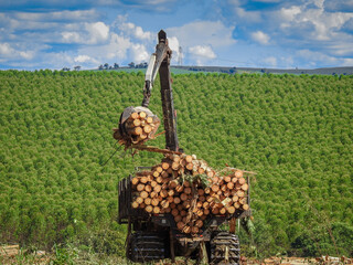 Forestry Machine Wood Harvesting logging