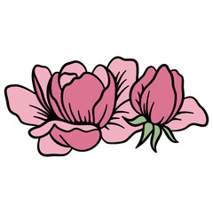 Pink Roses