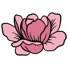 Pink Rose