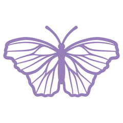 Purple Butterfly