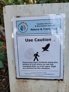 Tualatin Hills Nature Park, Beaverton, OR, USA - March 5, 2025 - A caution sign warns trail users about owl swooping incidents along a wooded path in the park
