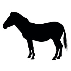Animals horse Silhouette Vector Illustration