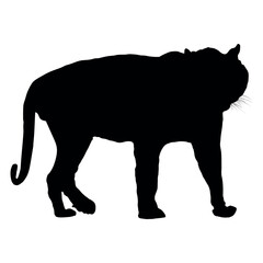 Animals Tiger Silhouette Vector Illustration