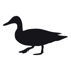 Animals duck Silhouette Vector Illustration