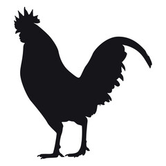 Animals hen Silhouette Vector Illustration