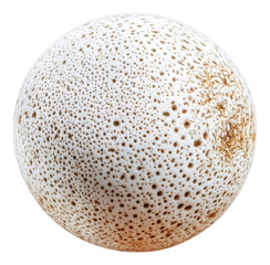 Detailed Close-Up of Abstract White Sphere with Brown Spots, Isolated on Transparent Background