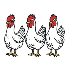 Fototapeta premium vector illustration of a rooster