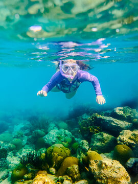 girl snorkeling through a coral reef  in the Caribbean ocean