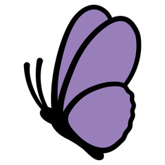 Purple Butterfly