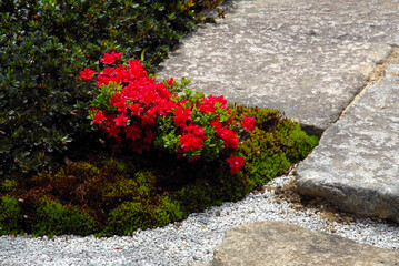有栖川宮旧邸　庭園のツツジ　京都市上京区