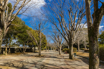 Obraz premium 笠松運動公園