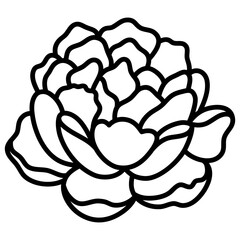 Single Rose