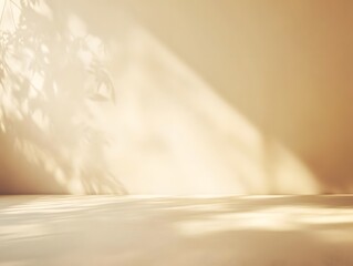 Obraz premium Golden Hour Shadows: A sunlit space features captivating shadows, leaves silhouette dancing on the wall and floor, creating a serene and natural ambiance.