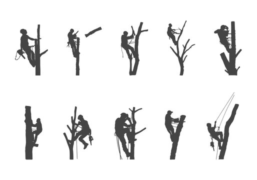 Tree surgeon svg, Tree arborist svg, Tree services svg, Tree surgeon working svg, Tree surgeon working silhouette, Tree surgeon silhouette, Tree surgeon vector, Tree services silhouette.