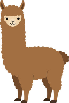 A charming brown llama standing proudly with a fluffy coat in a flat design style showcasing its playful personality in vector art