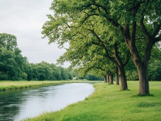 Tranquil River Flowing Through Lush Green Trees and Grassy Banks Under a Clear Blue Sky Evoking Peaceful Natural Beauty and Serenity in the Landscape