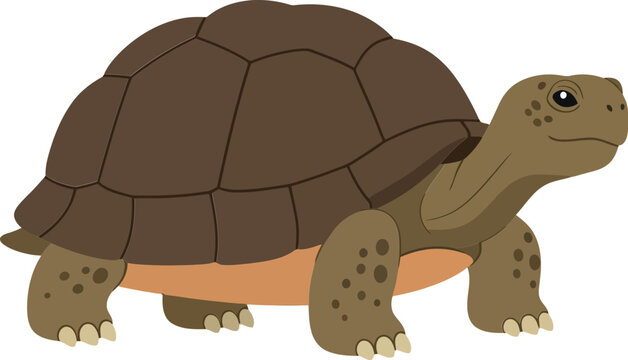 A cheerful tortoise with a detailed shell and gentle expression, walking slowly on a sunny day in a flat vector illustration