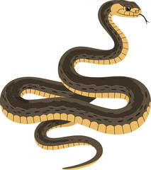 Obraz premium Realistic snake illustration featuring detailed scales and natural coloration in a minimalistic design style, perfect for educational and decorative vector art