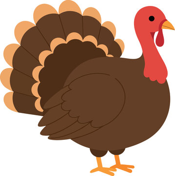 Colorful cartoon turkey with detailed feathers in a flat design style showcasing its proud stance in a festive autumn setting vector illustration