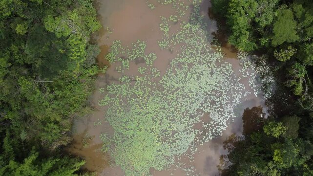 lagoa com macr&oacute;fita