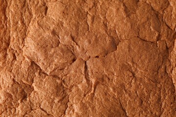 Tasty Japanese Castella sponge cake as background, top view