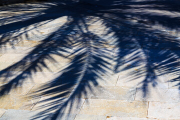 Europe, Spain, Balearic Islands, Mallorca. Palm frond shadows.