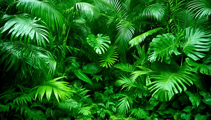 Lush vibrant green tropical foliage, dense rainforest plants, exotic leaves background. Perfect for nature, travel, or wellness designs.