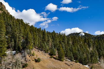 Mountain ranges and trees on a clear partly-cloudy sunny day in southwestern Colorado, USA